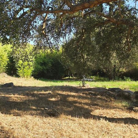 Quinta Da Utopia Castelo de Vide Εξωτερικό φωτογραφία