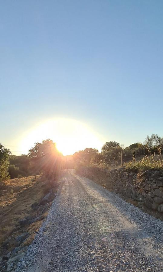 Quinta Da Utopia Castelo de Vide Εξωτερικό φωτογραφία