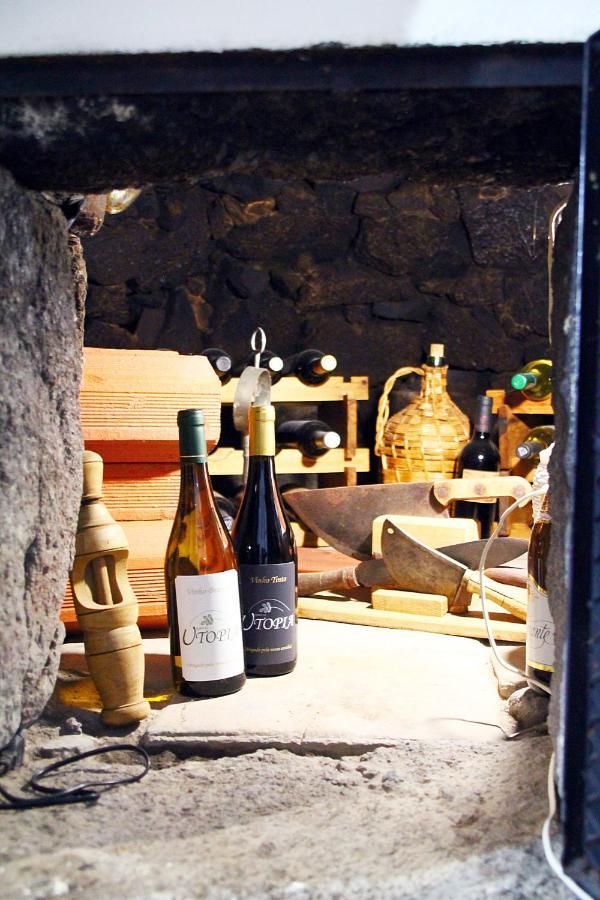 Quinta Da Utopia Castelo de Vide Εξωτερικό φωτογραφία