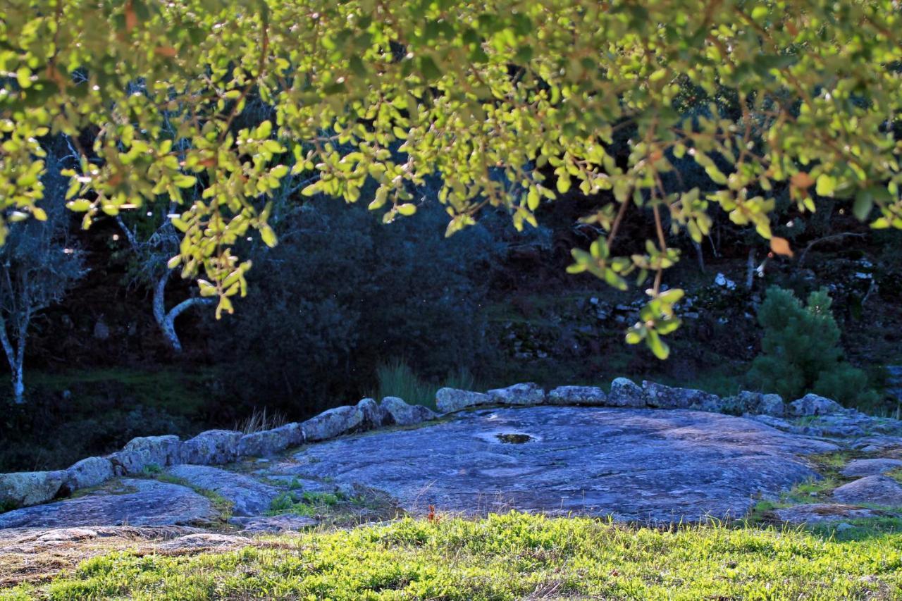 Quinta Da Utopia Castelo de Vide Εξωτερικό φωτογραφία