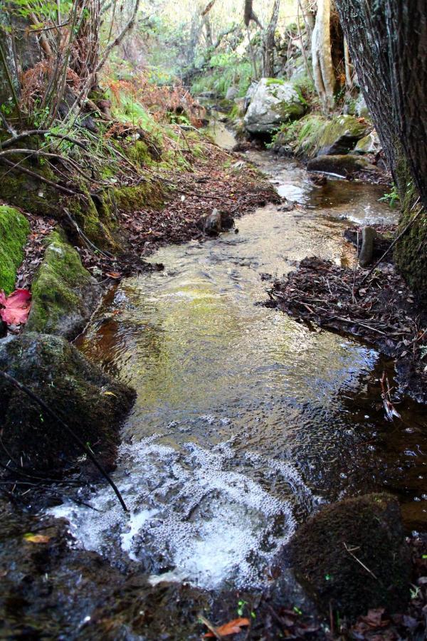 Quinta Da Utopia Castelo de Vide Εξωτερικό φωτογραφία