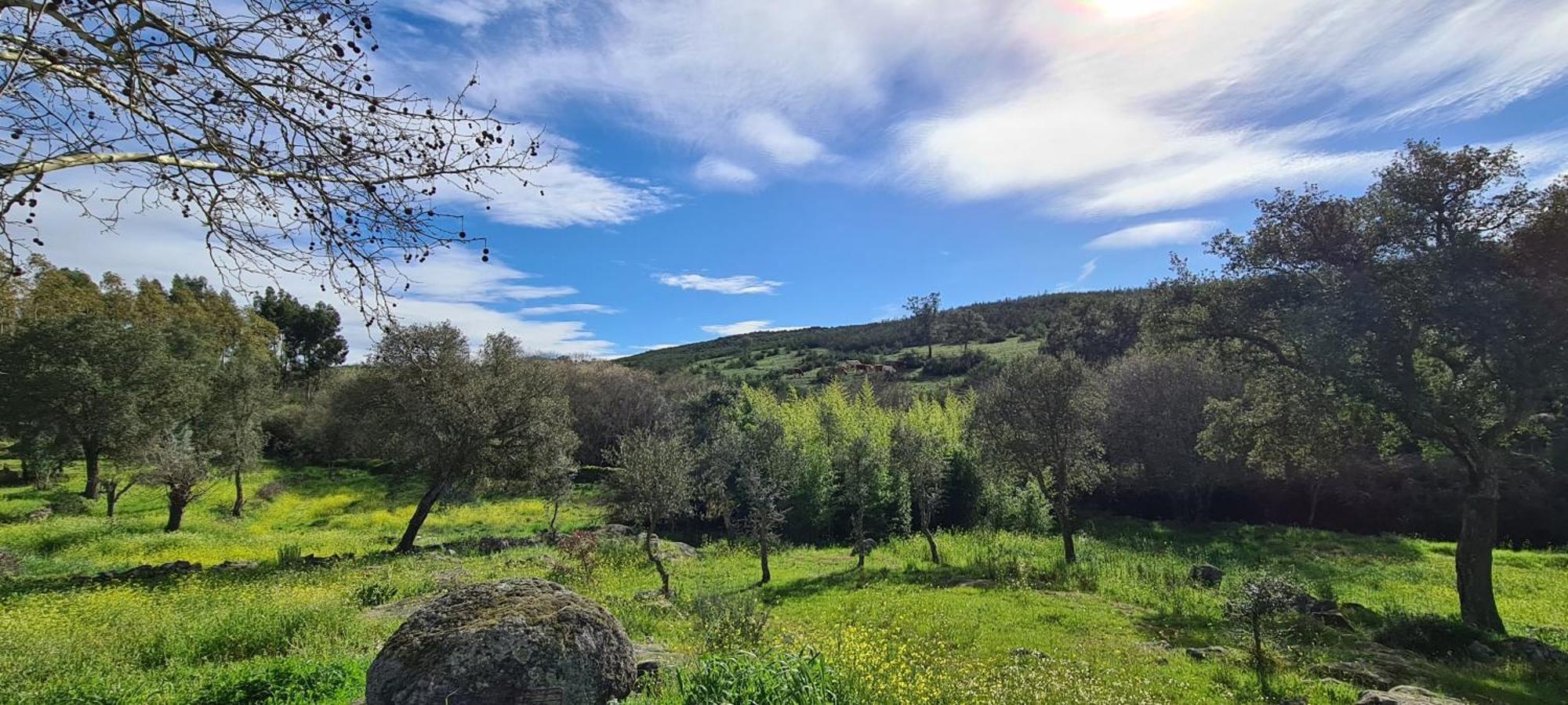Quinta Da Utopia Castelo de Vide Εξωτερικό φωτογραφία