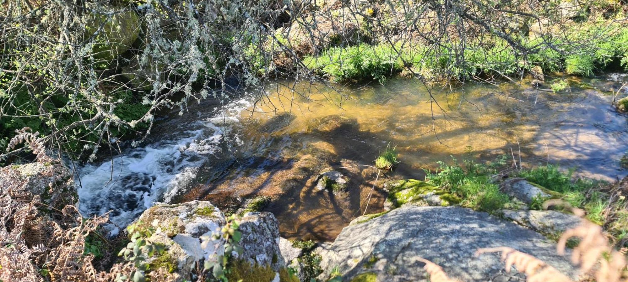 Quinta Da Utopia Castelo de Vide Εξωτερικό φωτογραφία