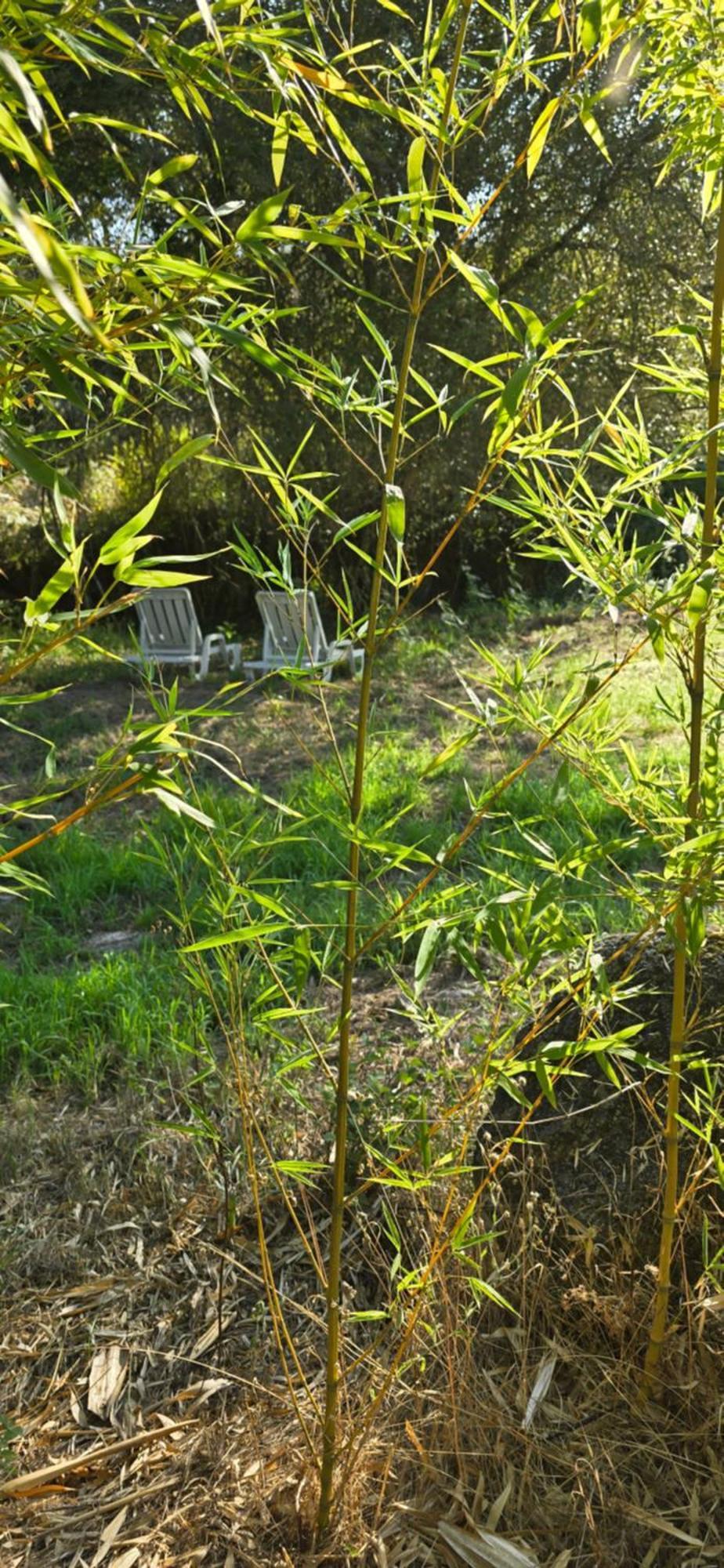 Quinta Da Utopia Castelo de Vide Εξωτερικό φωτογραφία